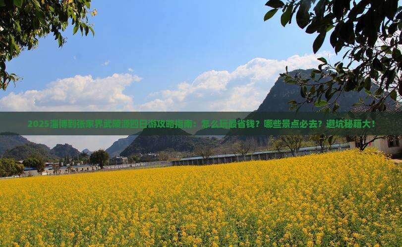 淄博到张家界武陵源四日游 淄博到张家界武陵源四日游