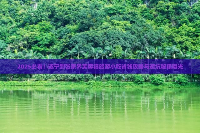 遂宁到张家界芙蓉镇旅游小吃
