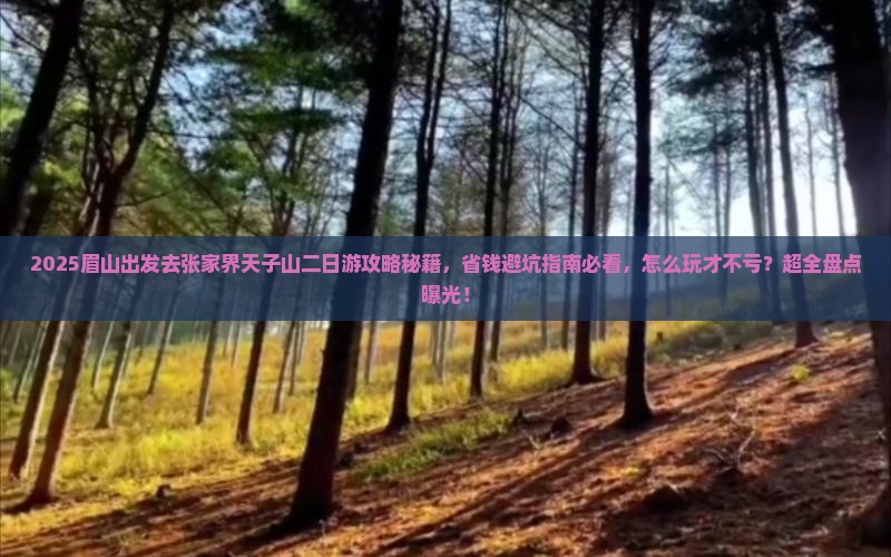 眉山去张家界天子山二日游