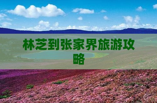 林芝到张家界攻略