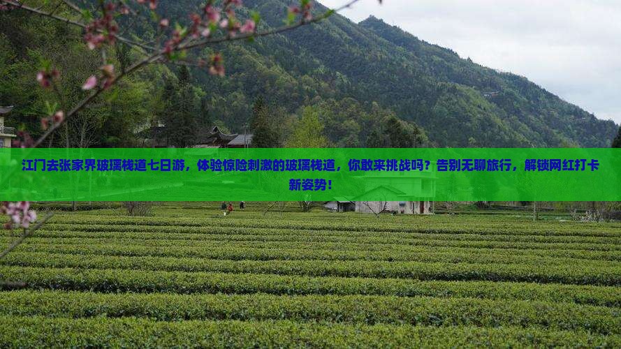 江门去张家界玻璃栈道七日游
