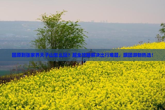固原到张家界天子山大型旅游团