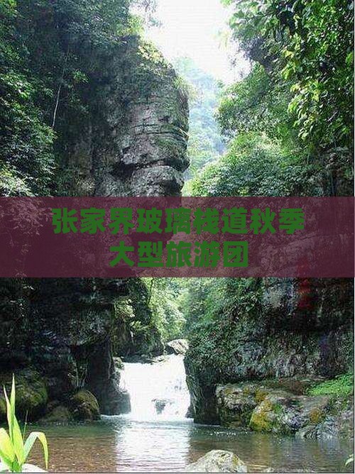 秋天去张家界玻璃栈道大型旅游团