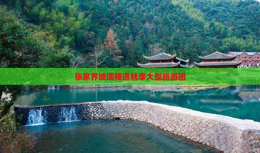 秋天去张家界玻璃栈道大型旅游团