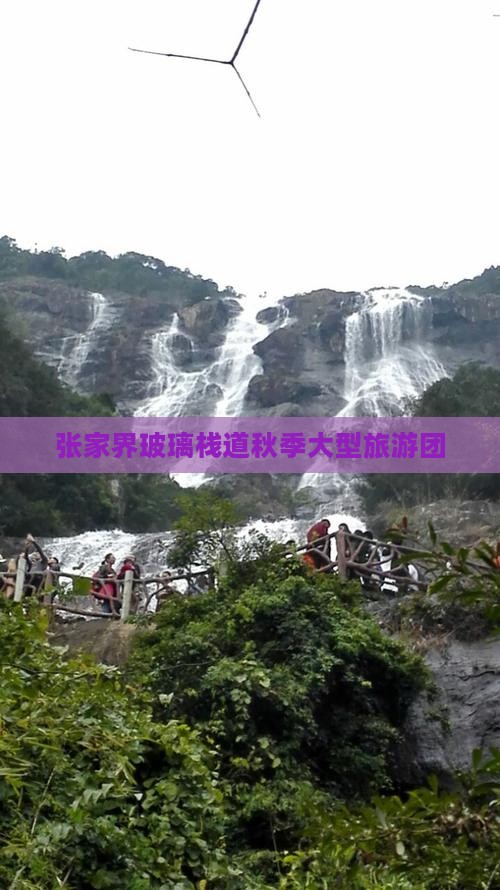 秋天去张家界玻璃栈道大型旅游团