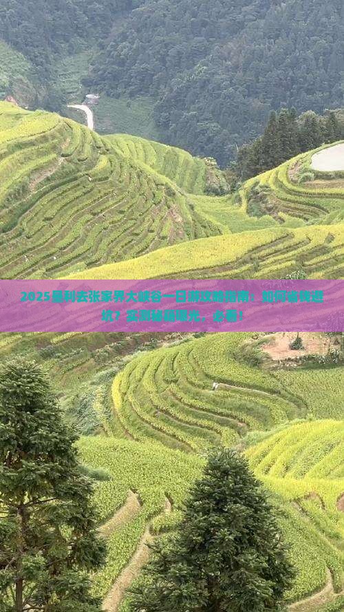 垦利去张家界大峡谷一日