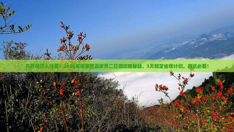 齐齐哈尔去张家界袁家界二日游