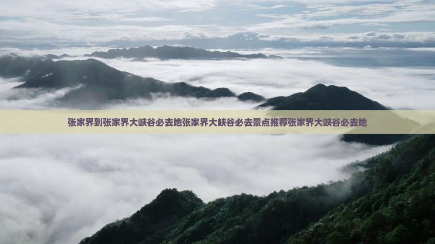张家界到张家界大峡谷必去地