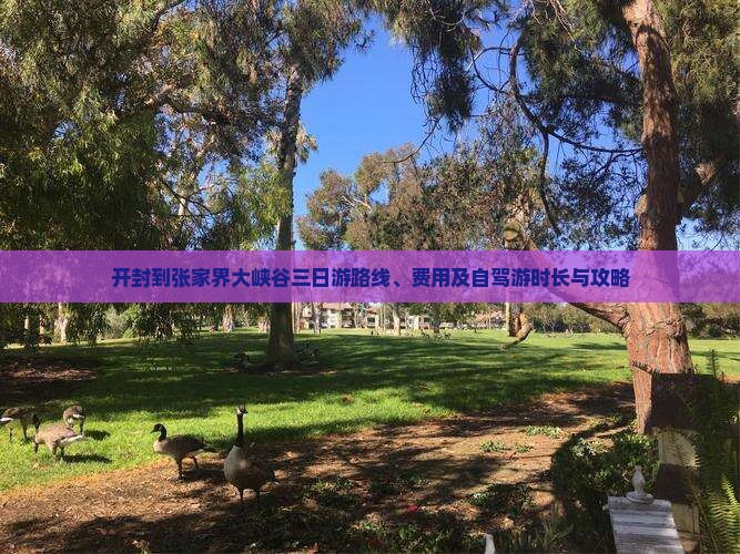 开封到张家界大峡谷三日游