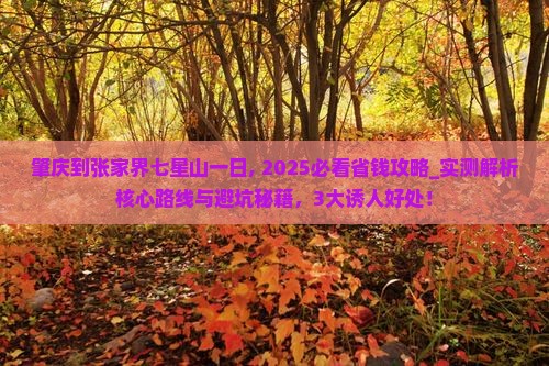 肇庆到张家界七星山一日