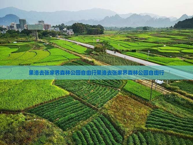 果洛去张家界森林公园自由行