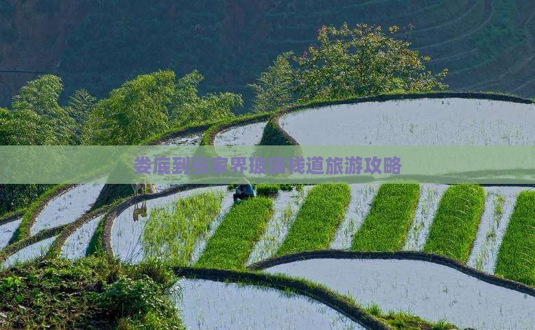 娄底去张家界玻璃栈道景点 娄底去张家界玻璃栈道景点