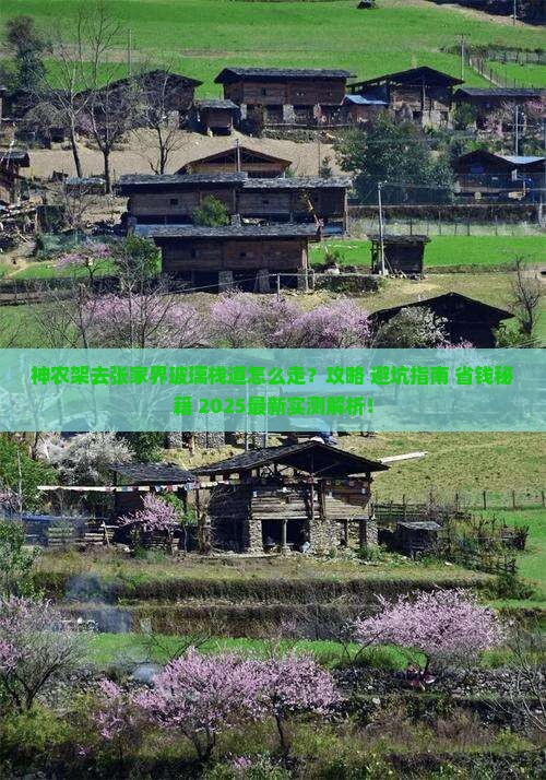 神农架去张家界玻璃栈道一日