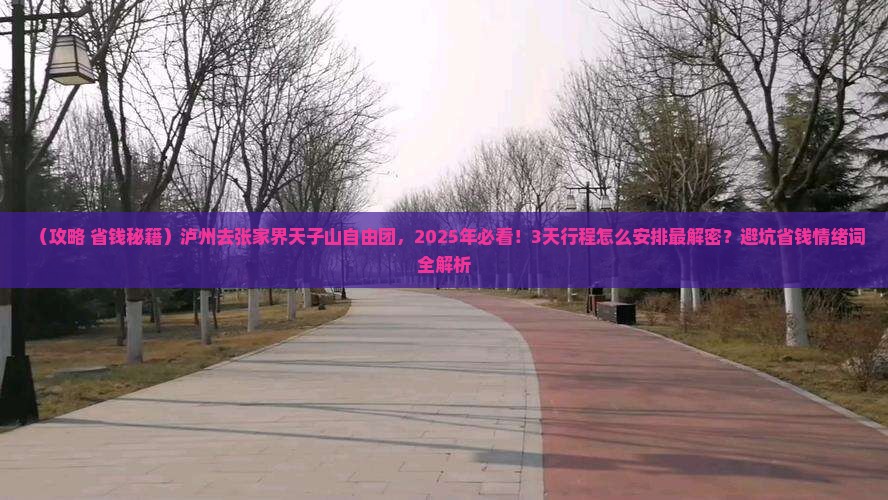 泸州去张家界天子山自由团