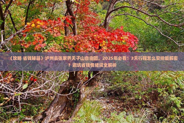 泸州去张家界天子山自由团