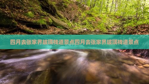 四月去张家界玻璃栈道景点
