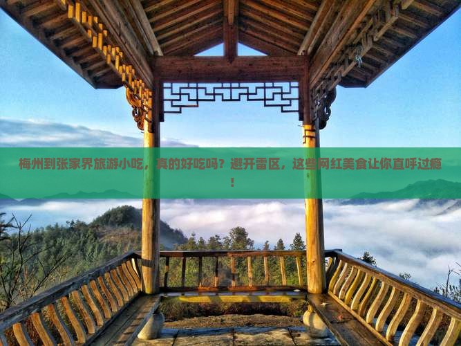 梅州到张家界旅游小吃