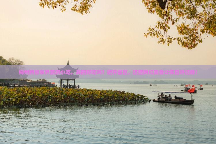 梅州到张家界旅游小吃