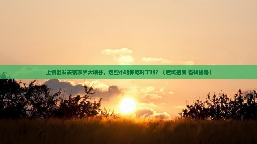 上饶去张家界大峡谷旅游小吃