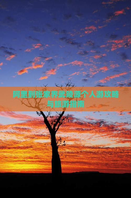 阿里到张家界武陵源个人游