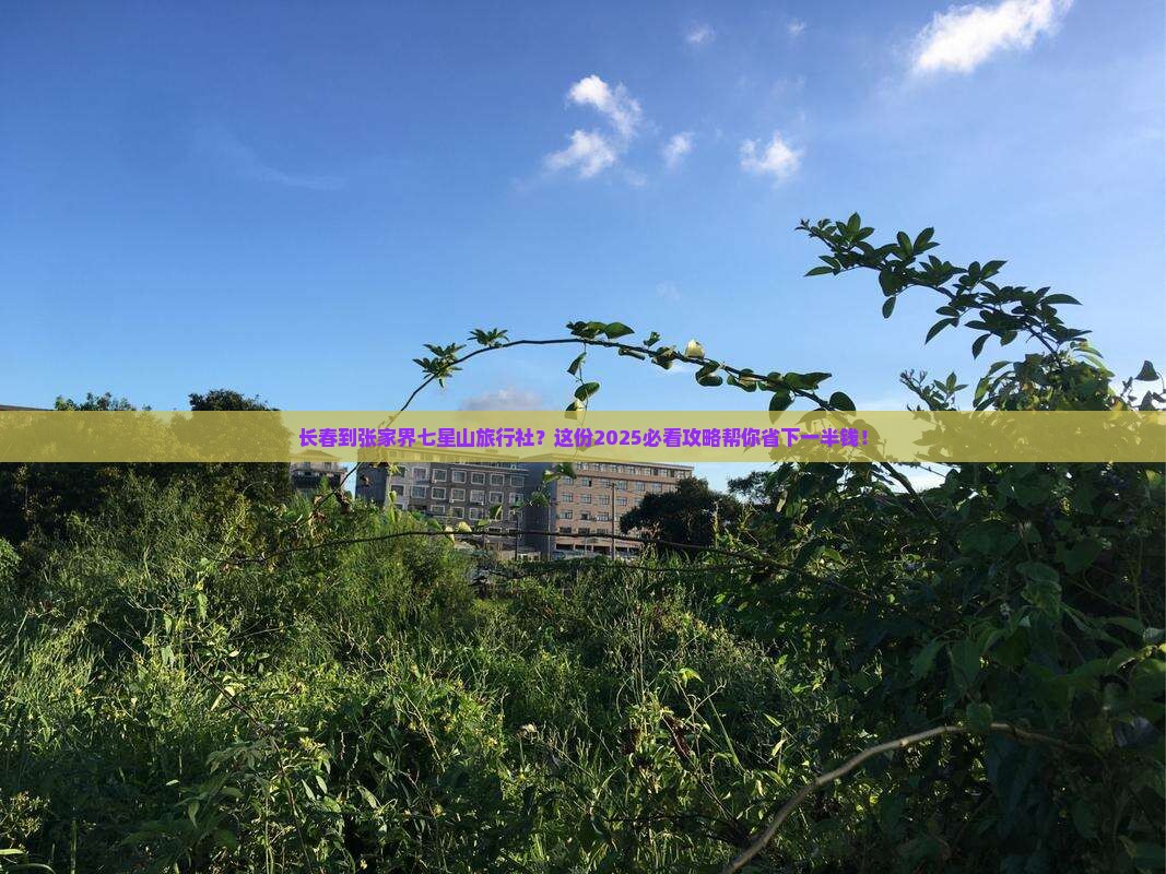 长春到张家界七星山旅行社