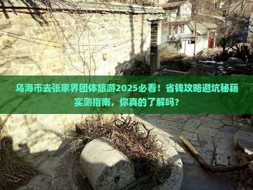 乌海市去张家界团体旅游