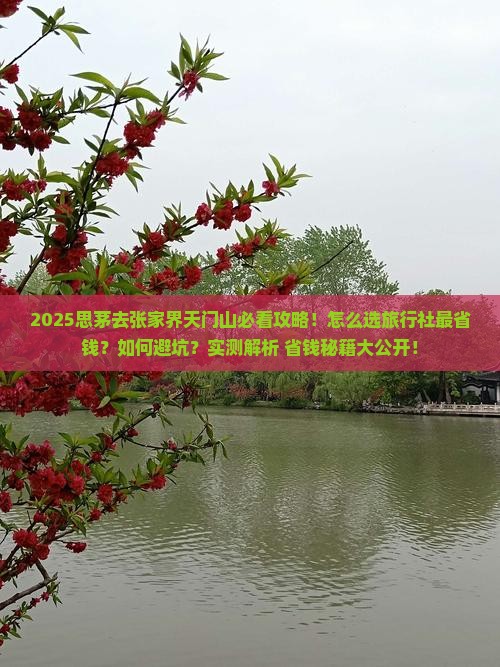 思茅去张家界天门山旅行社