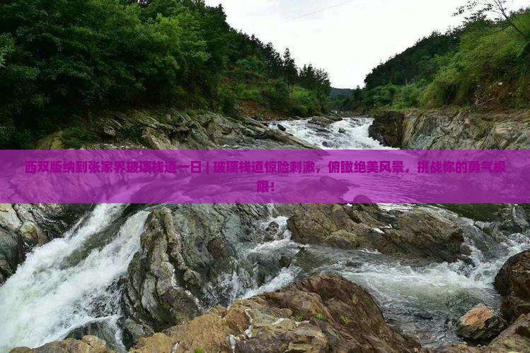 西双版纳到张家界玻璃栈道一日