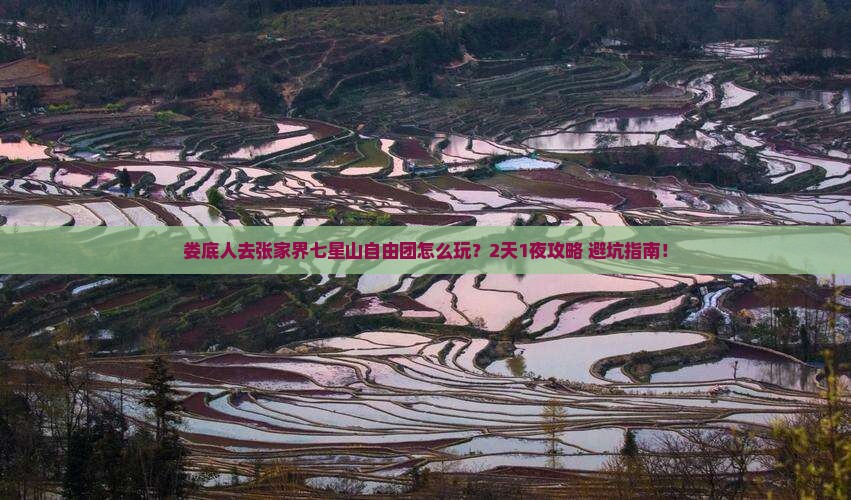 娄底去张家界七星山自由团