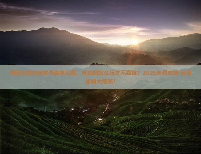 襄阳去张家界森林公园自由团