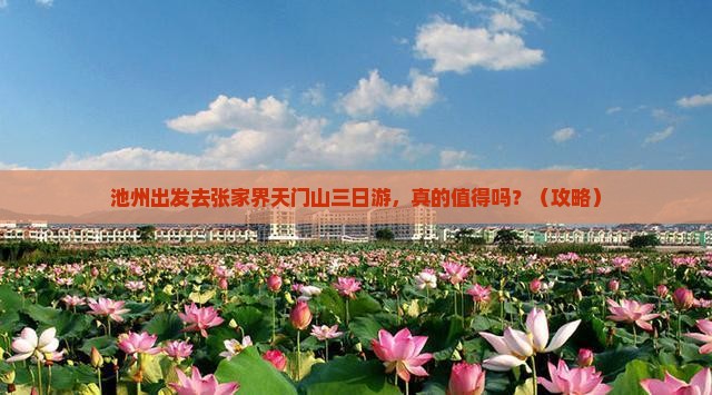 池州去张家界天门山三日游