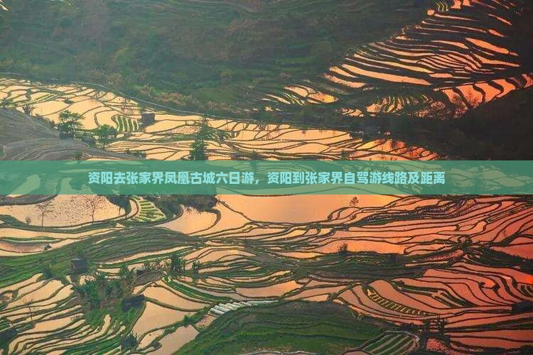 资阳去张家界凤凰古城六日游