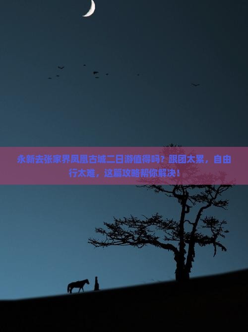 永新去张家界凤凰古城二日游