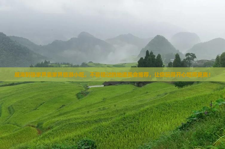 威海到张家界袁家界旅游小吃