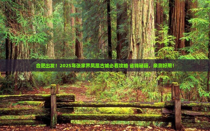 合肥去张家界凤凰古城必去地