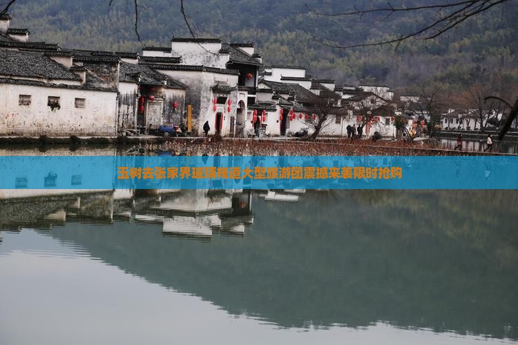 玉树去张家界玻璃栈道大型旅游团