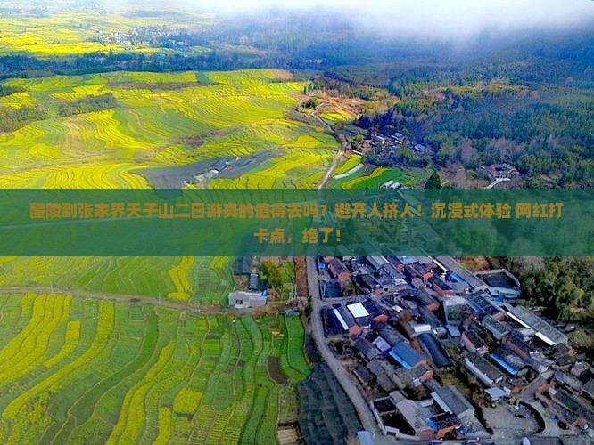 醴陵到张家界天子山二日游