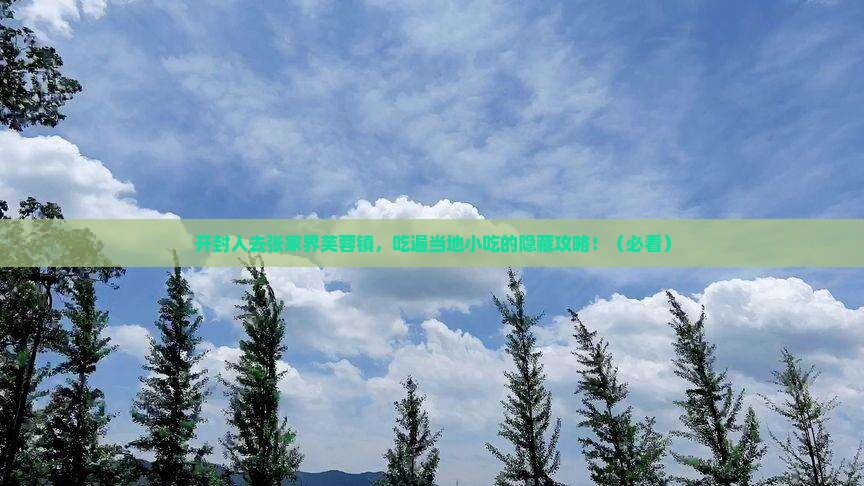 开封去张家界芙蓉镇旅游小吃