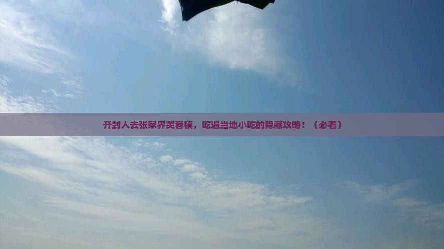 开封去张家界芙蓉镇旅游小吃