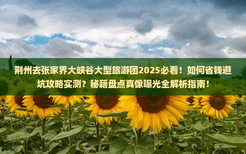 荆州去张家界大峡谷大型旅游团