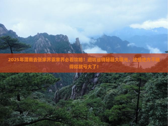 渭南去张家界袁家界必去地