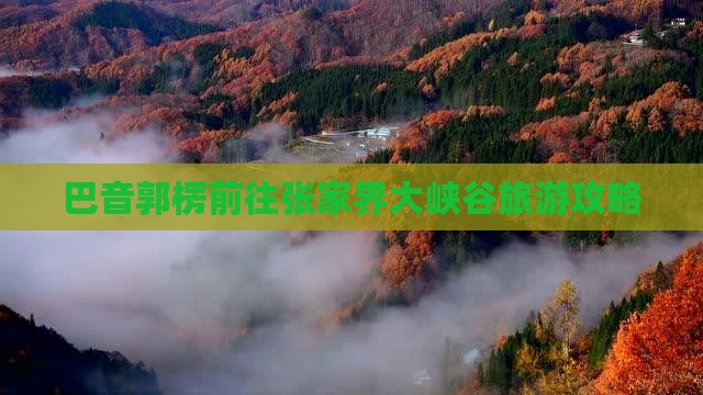 巴音郭楞去张家界大峡谷攻略