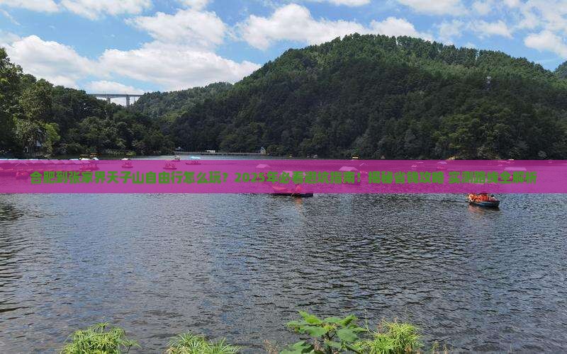 合肥到张家界天子山自由行