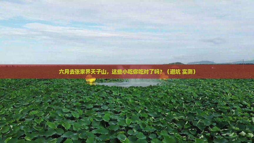 六月到张家界天子山旅游小吃