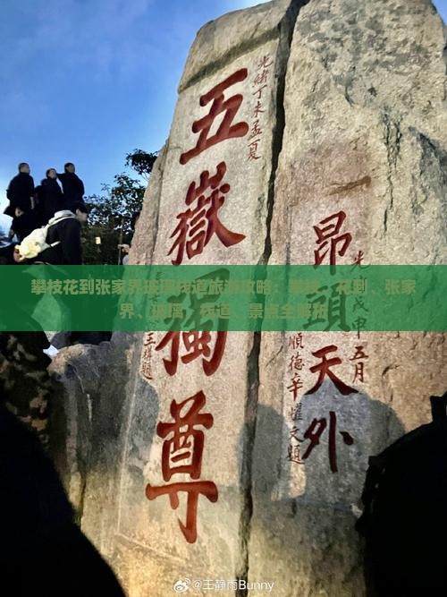 攀枝花到张家界玻璃栈道旅游
