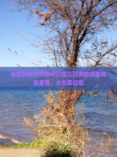 襄樊到张家界森林公园三日游