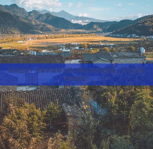 陇南到张家界森林公园门票