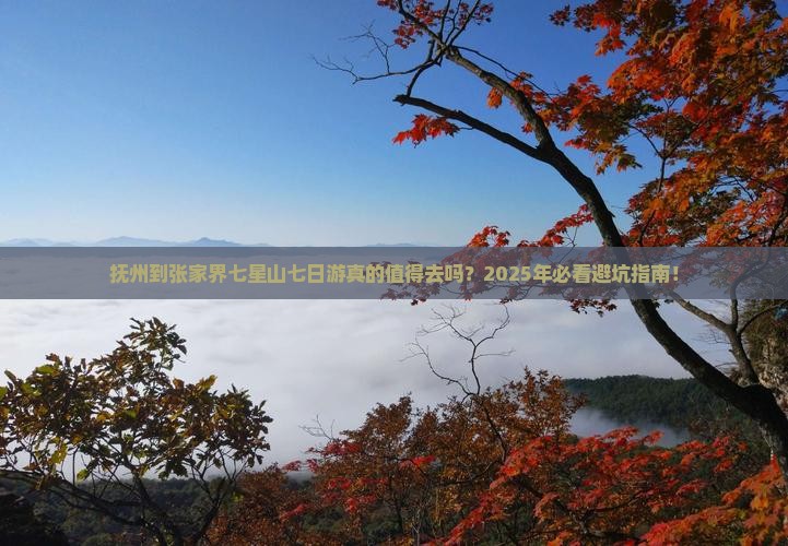 抚州到张家界七星山七日游