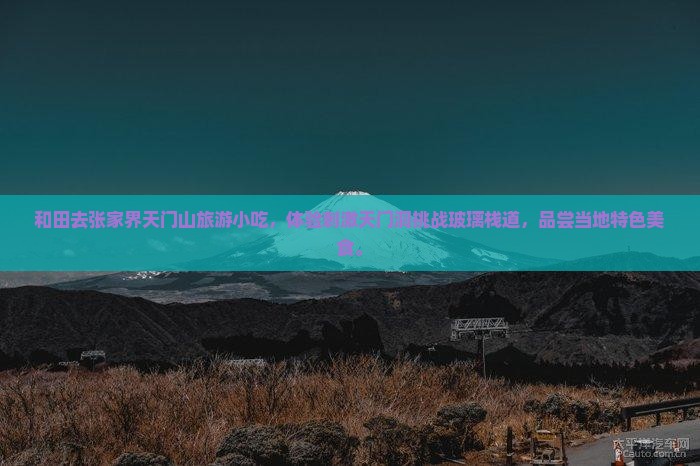 和田去张家界天门山旅游小吃