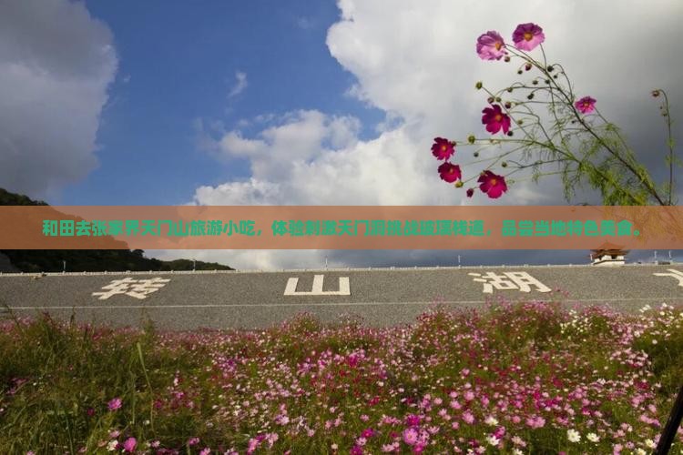 和田去张家界天门山旅游小吃